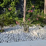 Villa Z\'Epices-Marina C0Nciergerie