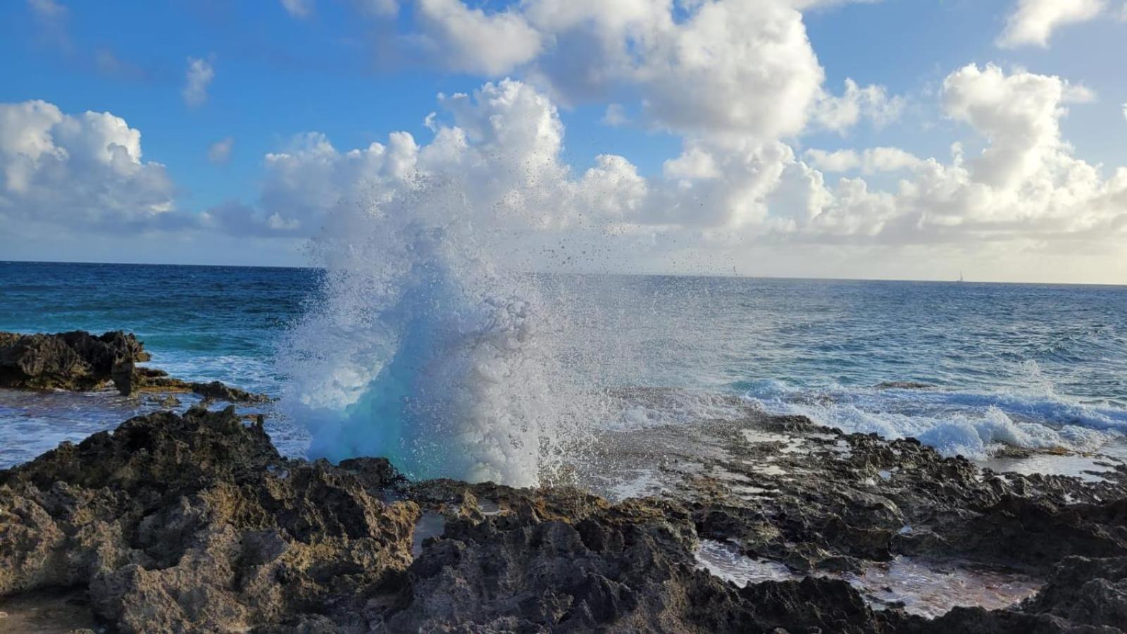 Z'epices-marina C0nciergerie Saint-Francois (Grande-Terre)
